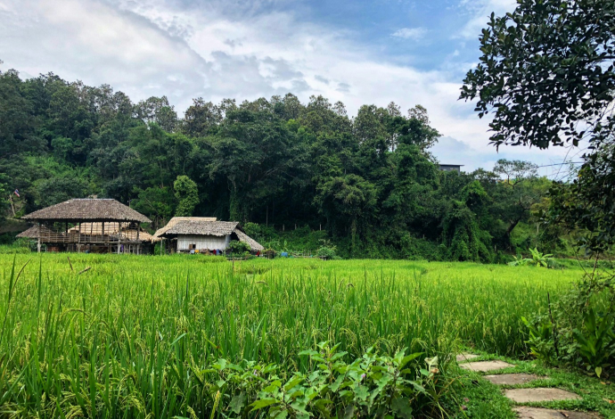 Kerala Backwater Experience