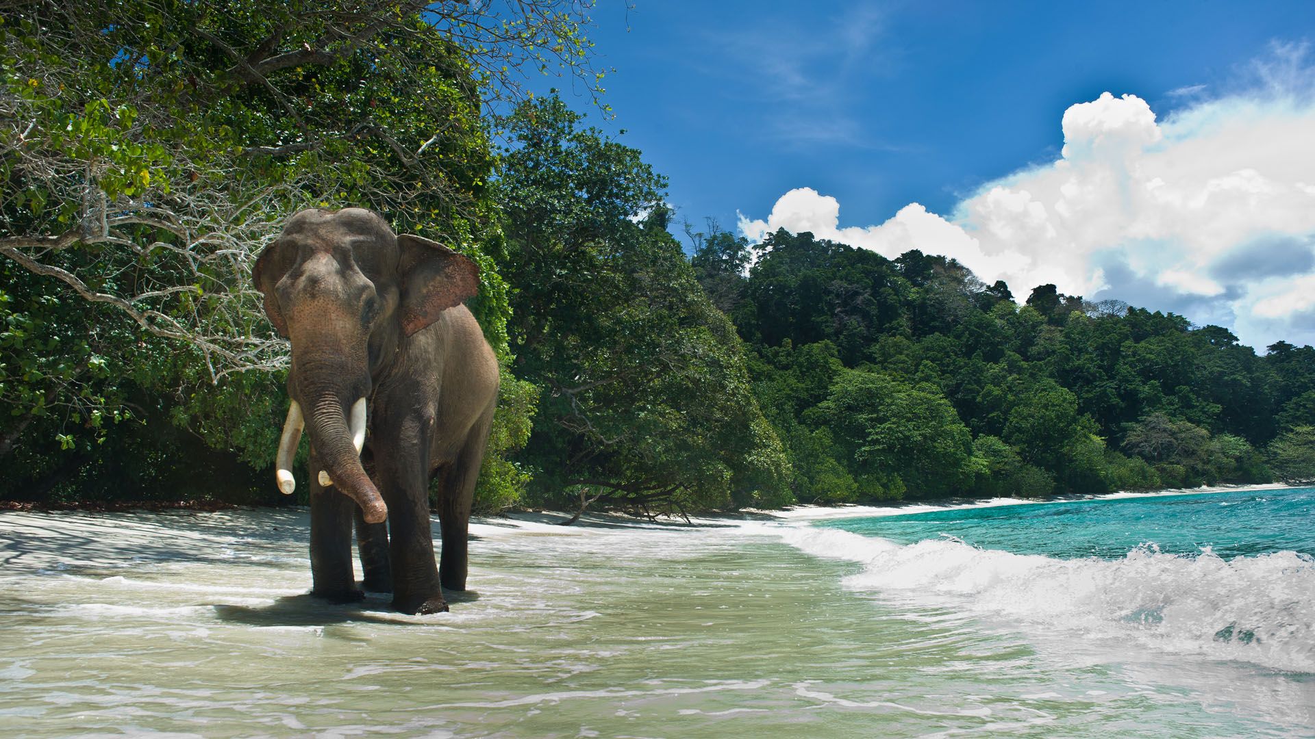 Magical Andaman.
